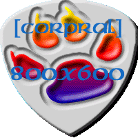Enter the site in 800x600